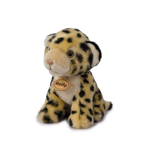 leopardo rolly con un musetto dolce e mantello maculato